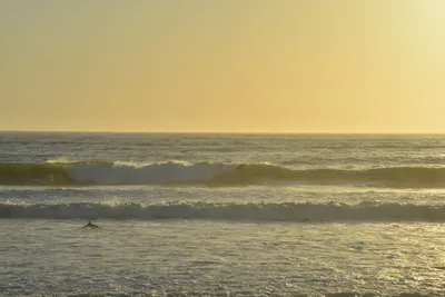 DSC_7276 (Large).JPG